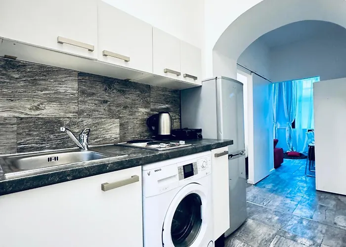 Lovely 2br Next To Akh * ウィーン